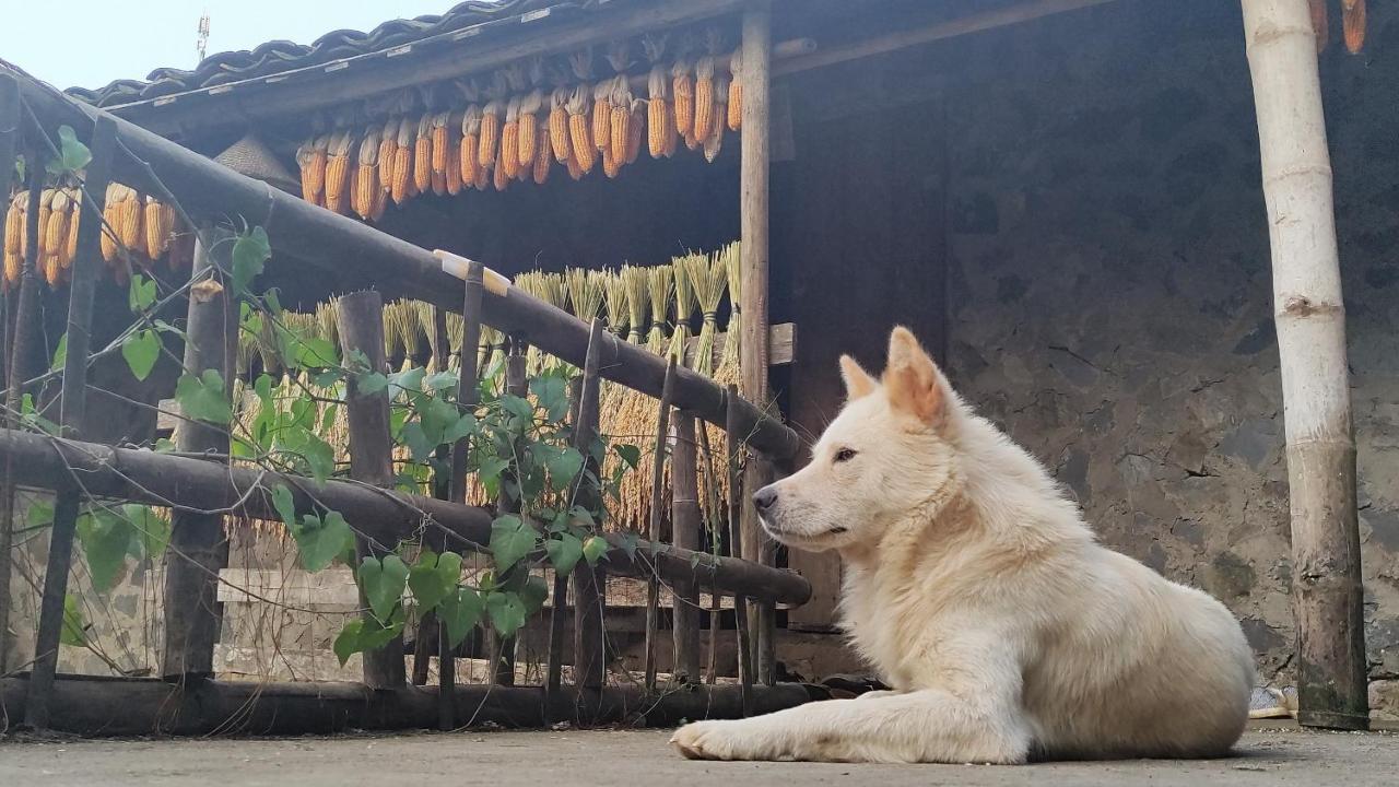 Hoang Cong Ban Gioc Homestay Cao Bang Exterior photo